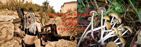 винт Наволоки