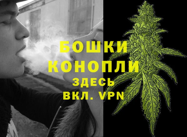 твердый Горно-Алтайск
