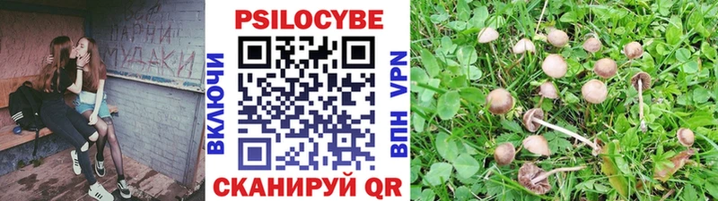 Галлюциногенные грибы MAGIC MUSHROOMS  хочу   Горбатов 